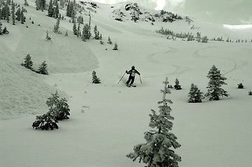 Image showing Avalanche
