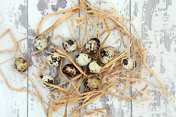 Image showing Quail Eggs