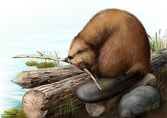 Image showing Illustration of beaver sitting on a log