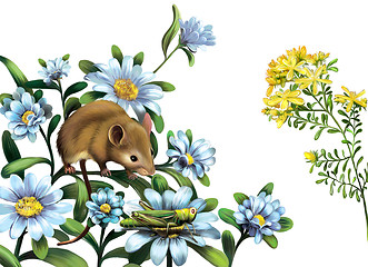 Image showing Mouse, grasshoper blue meadow flowers