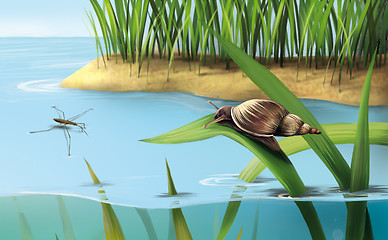 Image showing River scene: snail on grass, lake water