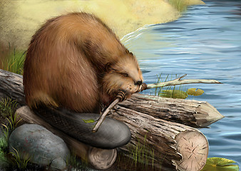 Image showing Illustration of beaver sitting on a log