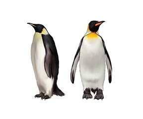 Image showing King Penguin, Gentoo and emperor penguin
