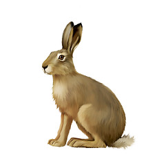 Image showing Sitting hare, cute easter bunny