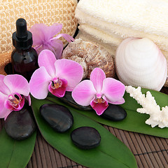 Image showing Exotic Spa Treatment