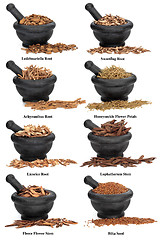 Image showing Chinese Herbal Medicine