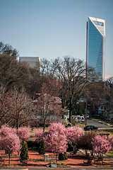 Image showing spring in a big city