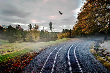 Image showing foggy nature along the train tracks