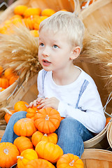 Image showing child at the pumpkin patch