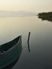 Image showing Wooden boat and reeds