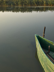 Image showing Wooden boat and reeds