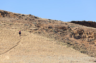 Image showing Paraglider