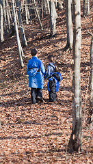 Image showing Children walking in a forest