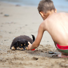 Image showing Puppy and boy