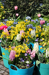 Image showing Sunny terrace with a lot of flowers