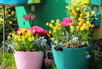 Image showing Sunny terrace with a lot of flowers