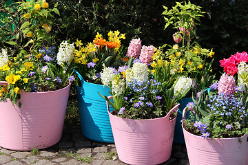 Image showing Sunny terrace with a lot of flowers