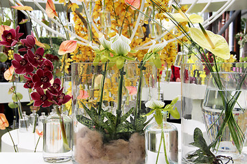 Image showing Orchids and other flowers 