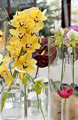 Image showing Orchids and other flowers 