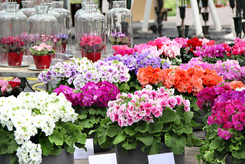 Image showing Flower shop