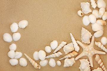 Image showing Beach Treasure 