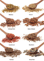 Image showing Natural Herbal Remedies 
