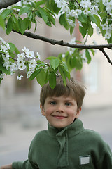 Image showing Child