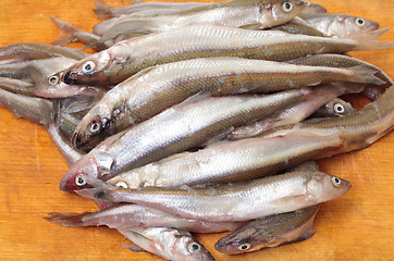 Image showing Fresh smelts fish
