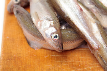 Image showing Fresh smelts fish