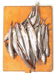 Image showing Fresh smelts fish