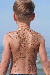 Image showing Child near the sea