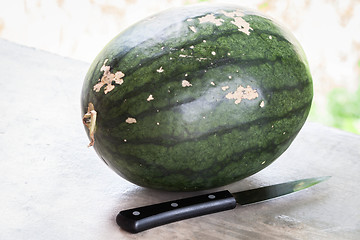 Image showing Fresh green sweet water melon and knife 