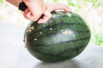 Image showing Fresh green water melon and knife cutting 