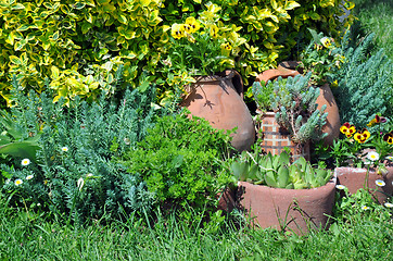 Image showing Flower Garden and Crockery