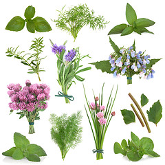 Image showing Fresh Herbs