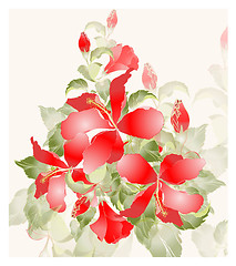 Image showing Greeting card with hibiscus. Illustration hibiscus.
