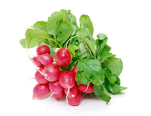 Image showing Small garden radish with leaf