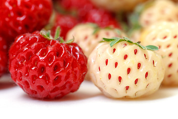 Image showing Ripe White and Red Strawberries