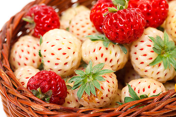 Image showing Ripe White and Red Strawberries in basket