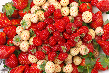 Image showing Ripe White and Red Strawberries on plate