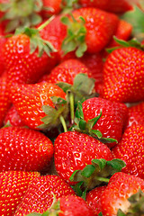 Image showing Ripe Red strawberries