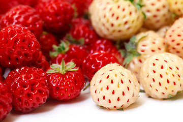 Image showing Ripe White and Red Strawberries