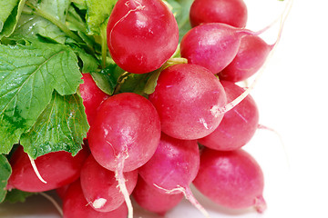 Image showing Small garden radish with leaf