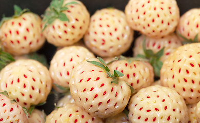 Image showing Ripe White strawberries, pineberries