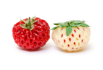 Image showing Ripe White and Red Strawberries