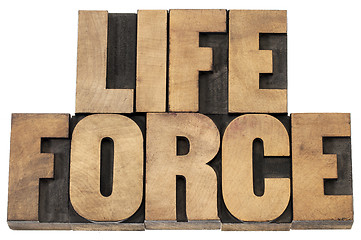 Image showing life force in wood type