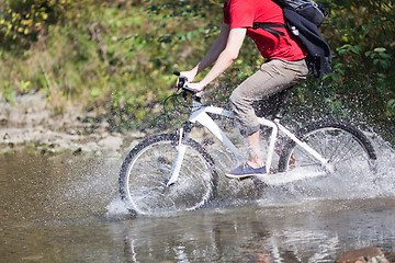 Image showing Making a splash