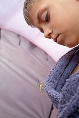 Image showing Dragonfly sits on  boy's clothes