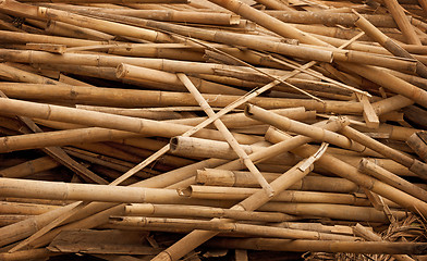 Image showing Debris - bamboo sticks in heap