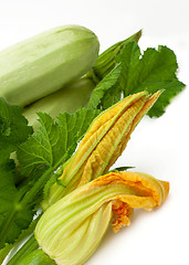 Image showing Fresh vegetable marrow with green leaf